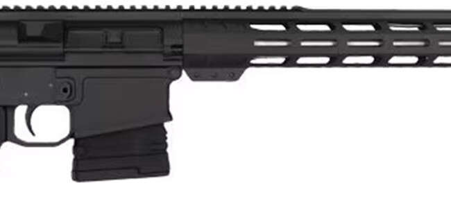 GLF GL10 308 RFL 18SS 10RD BLK