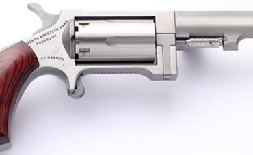 NORTH AMERICAN ARMS SIDEWINDER 22M/22LR 2.5" SS