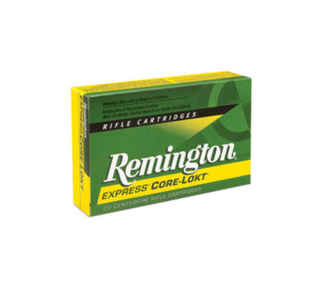 REM 25-06 120GR CORE PSP 20RD