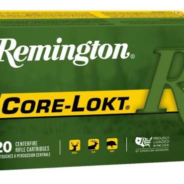 REM 270 100GR CORE PSP 20RD
