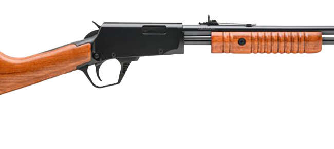 BRZ ROSSI GALLERY 22LR RFL WD