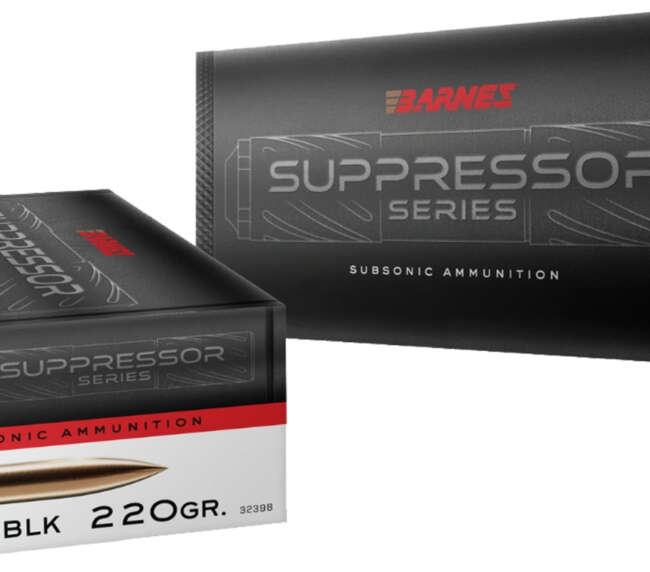 BAR 300BLK 220GR SUB SMK 20RD