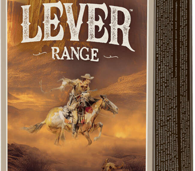 WIN 45-70 300GR AMERLEV JHP 20