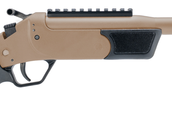 ROSSI BRAWLER 300BLK 9" BL/FDE     #