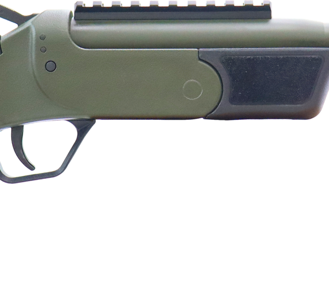 ROSSI BRAWLER 300BLK 9" BL/ODG     #