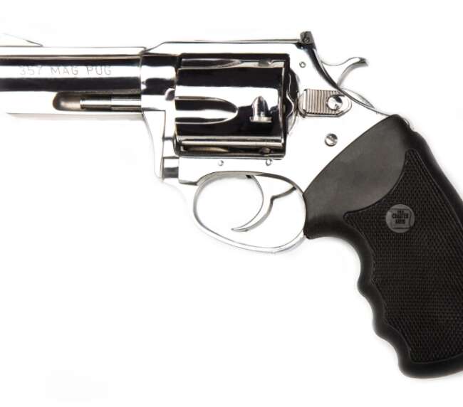 CHARTER ARMS CHARTER MAG PUG 357 POLISH 3"