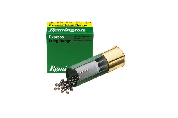 REM 20G EXP 2.75-1-6 25RD