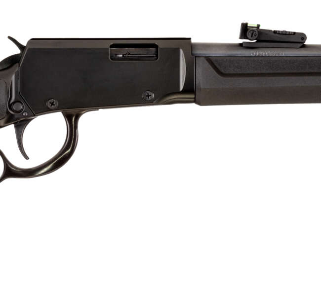 ROSSI RIO BRAVO 22WMR BK/SY 20"    #