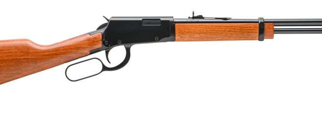 ROSSI RIO BRAVO 22WMR BL/WD 20"    #