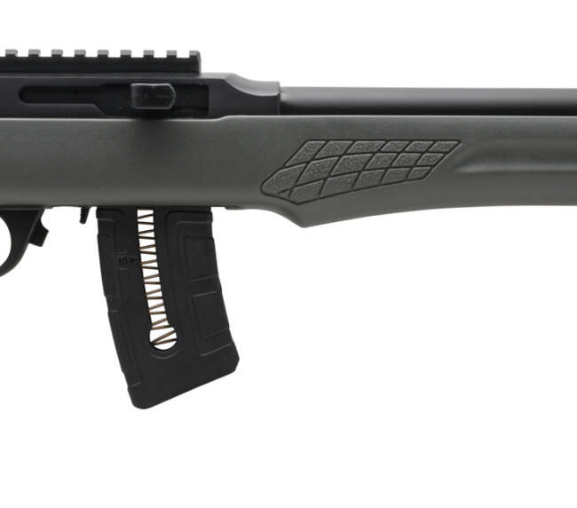 ROSSI RS22 22MAG BLK/GRAY 21" 10+1 #