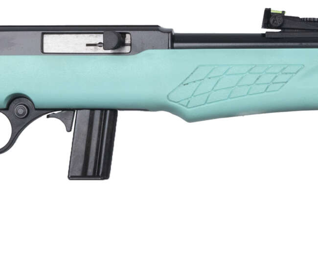BRZ ROSSI RS22 22LR 18TEAL 10R