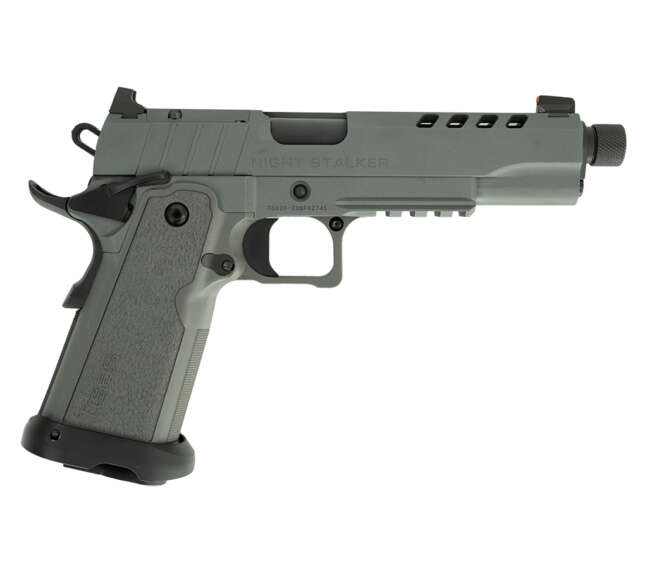 TISAS 1911DS DUTY GREY 9MM 17+1 5" #