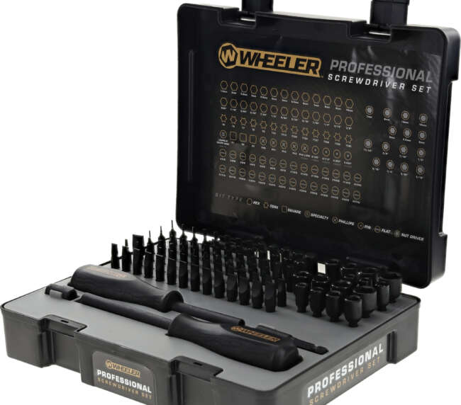 WHE PRO SCREWDRIVE SET 100PC