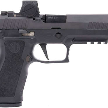 SIG P320XF RXX NIT 9MM 17R NS