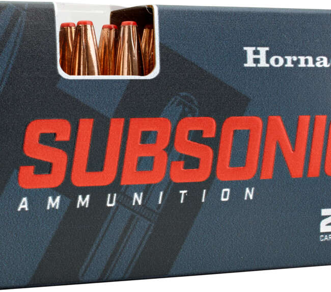 HRN 30-30 175GR SUB-X 20RD