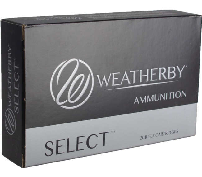 WBY 6.5-300WBY 140GR INT 20RD