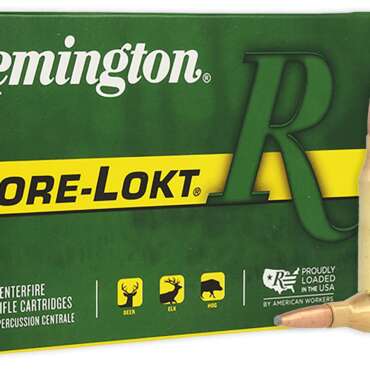 REM 243 100GR CORE PSP 20RD