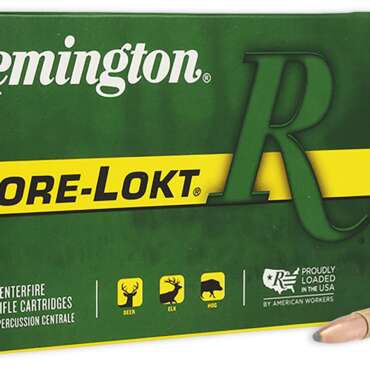REM 270 130GR CORE PSP 20RD