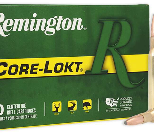 REM 270 130GR CORE PSP 20RD