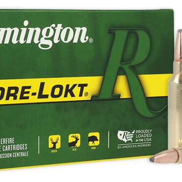 REM 270WSM 130GR CORE PSP 20RD