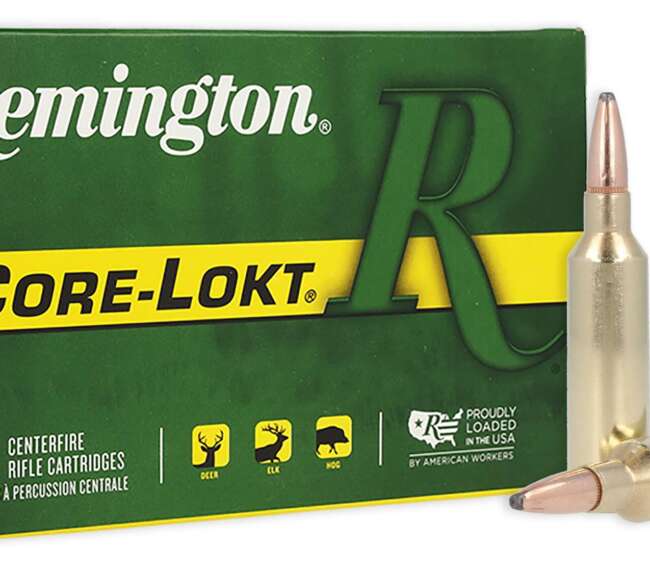 REM 270WSM 130GR CORE PSP 20RD