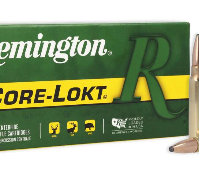 REM 300SAV 150GR CORE PSP 20RD