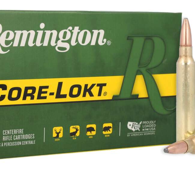 REM 300 180GR CORE PSP 20RD