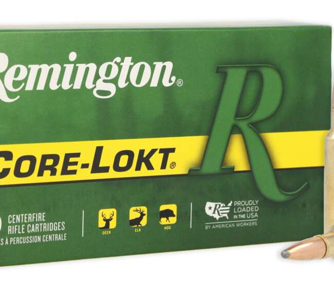 REM 300WSM 150GR CORE PSP 20RD