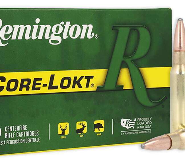 REM 308 180GR CORE PSP 20RD