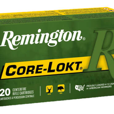 REM 6MMCR 100GR CORE PSP 20RD