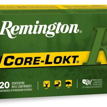 REM 6MM 100GR CORE PSP 20RD
