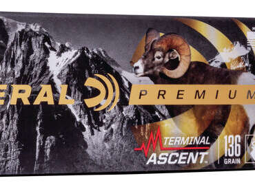 FDR 270WSM 136GR TERM ASC 20RD