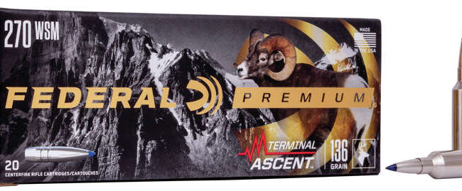 FDR 270WSM 136GR TERM ASC 20RD