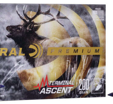 FDR 300 200GR TERM ASC 20RD