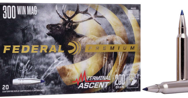 FDR 300 200GR TERM ASC 20RD