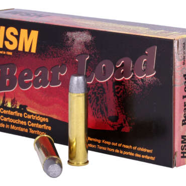 HSM 460SW 325GR BEAR WFN 20RD