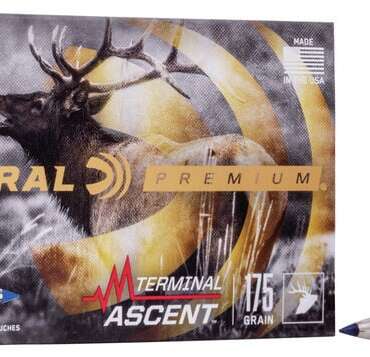 FDR 30-06 175GR TERM ASC 20RD