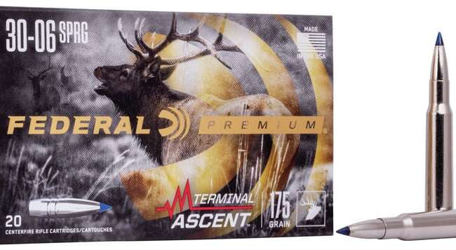 FDR 30-06 175GR TERM ASC 20RD
