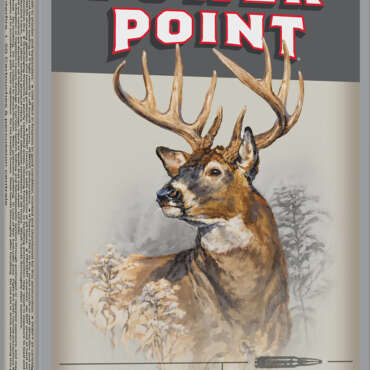 WIN 303BRIT 180GR PPT 20RD