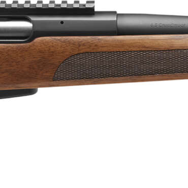 SAV STV 334 308 WALNUT 20B