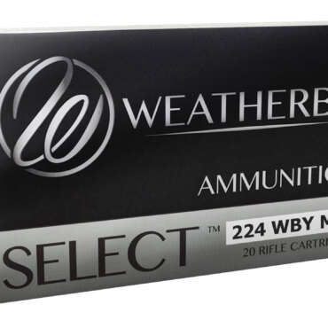 WEATHERBY 224WBY 55GR SPIRE POINT