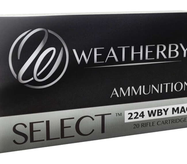 WEATHERBY 224WBY 55GR SPIRE POINT