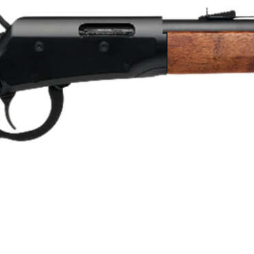 SAV REVEL 22LR LVR 12RD