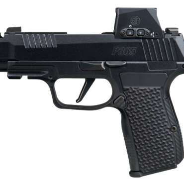 SIG SAUER P365 AXG LUXE 380ACP 12+1 ROMX