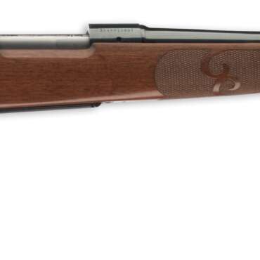 WINCHESTER M70 FEATHERWGT COMPACT 308WIN
