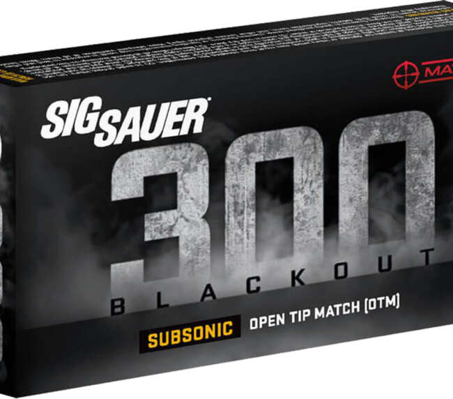 SIG 300BLK 220GR SUB OTM 20RD