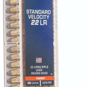 CCI 22LR 40GR SV LRN 100RD