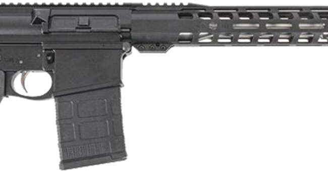DPM AR10 RFL 308 20RD 20SS MOE
