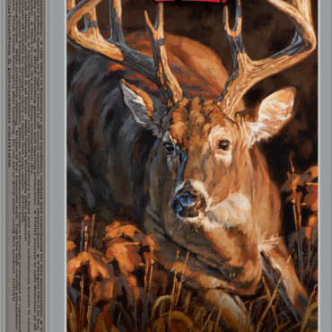 WIN 450BSH 250GR DEER XP 20RD